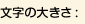 文字の大きさ